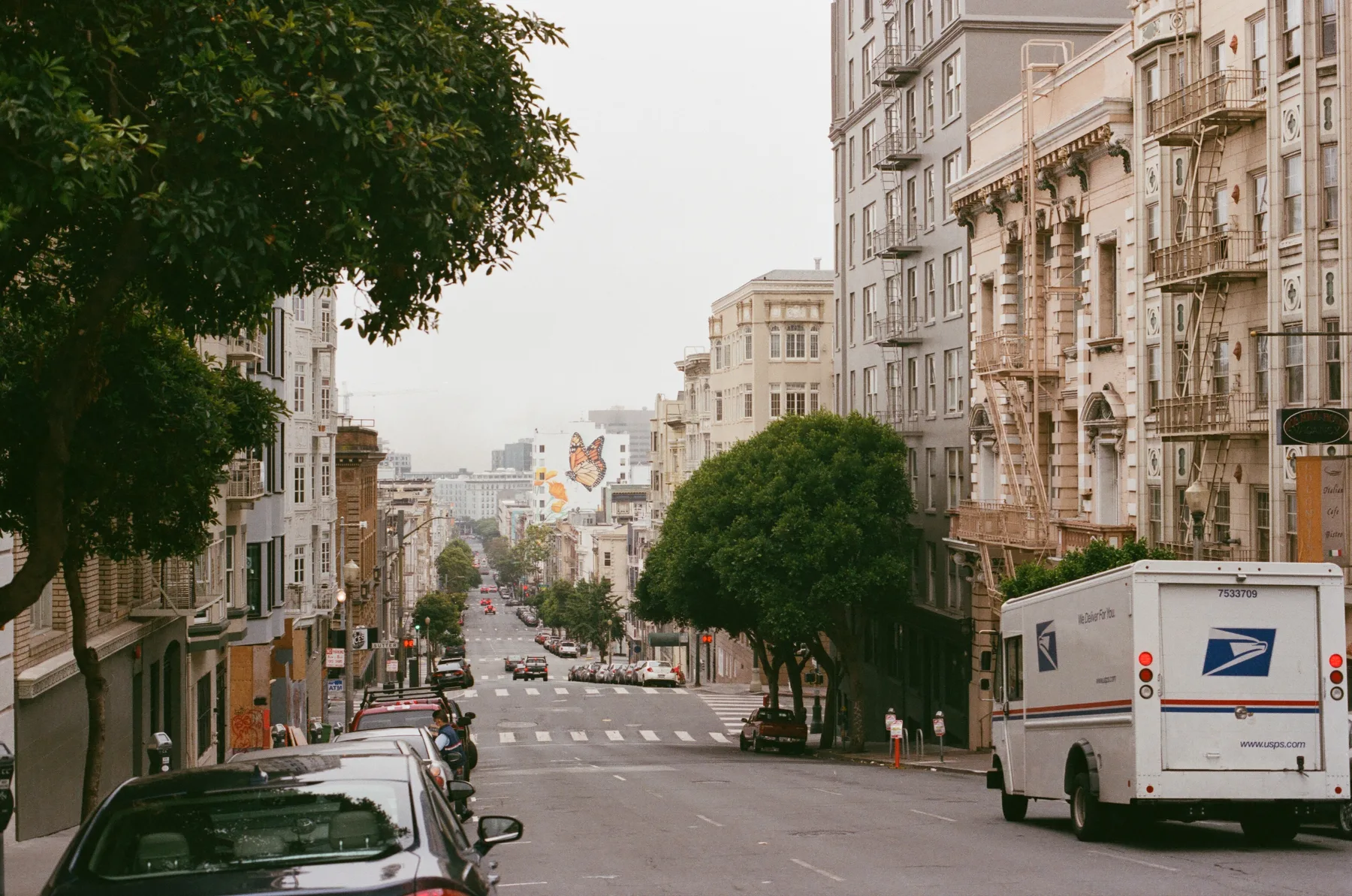 Sf Butterfly