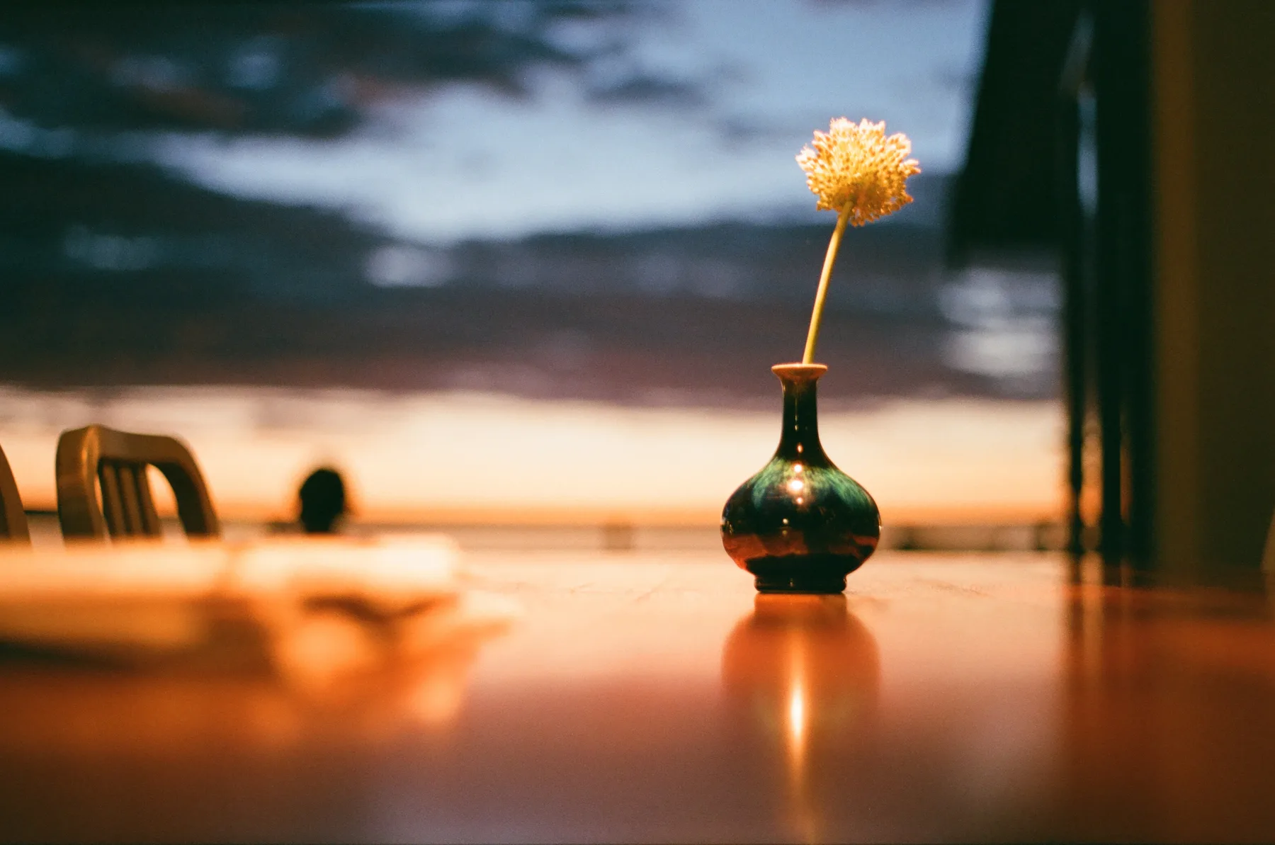 Pnw Sunset Flower