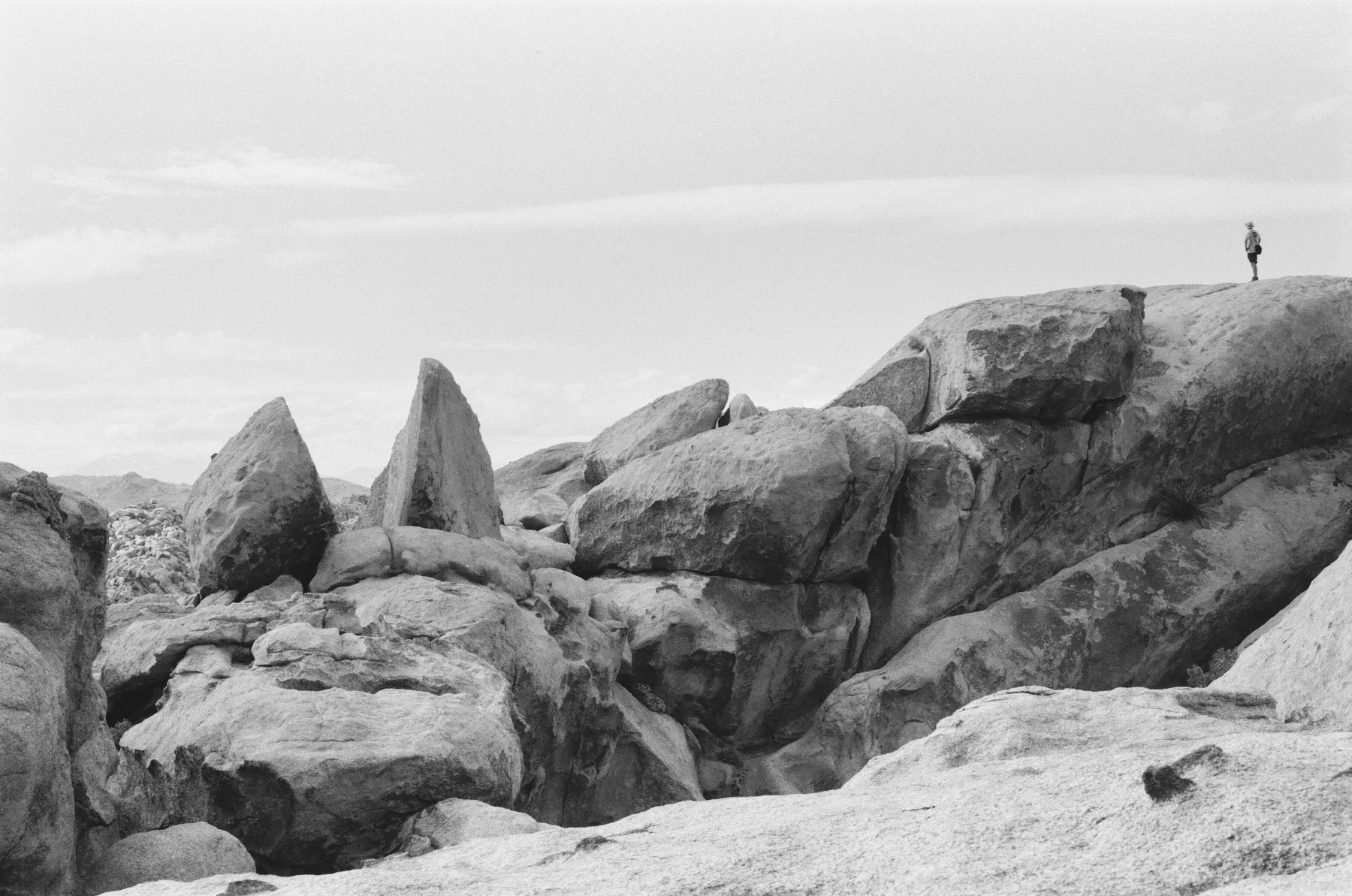 Jtree Rock Jack